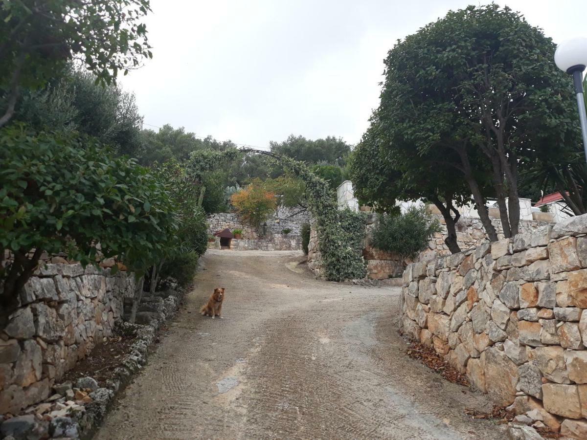 Casa Campagna Διαμέρισμα Φαζάνο Εξωτερικό φωτογραφία
