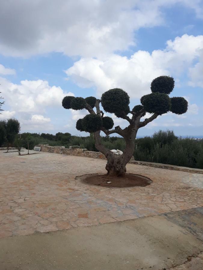 Casa Campagna Διαμέρισμα Φαζάνο Εξωτερικό φωτογραφία