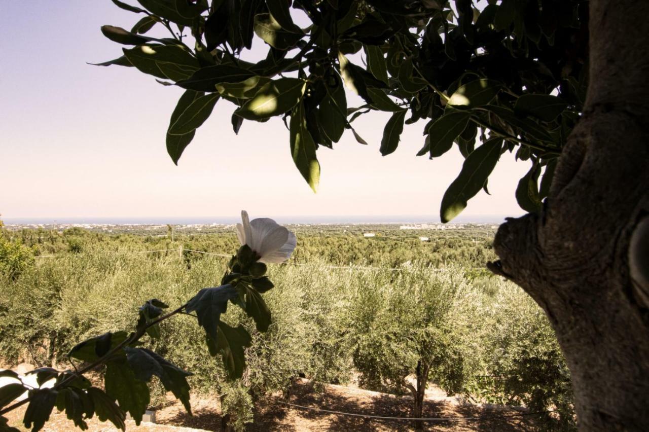 Casa Campagna Διαμέρισμα Φαζάνο Εξωτερικό φωτογραφία
